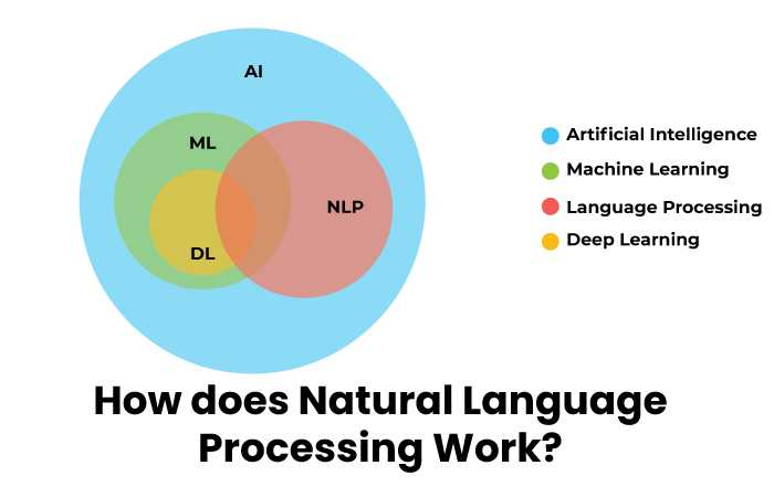 How does Natural Language Processing Work?