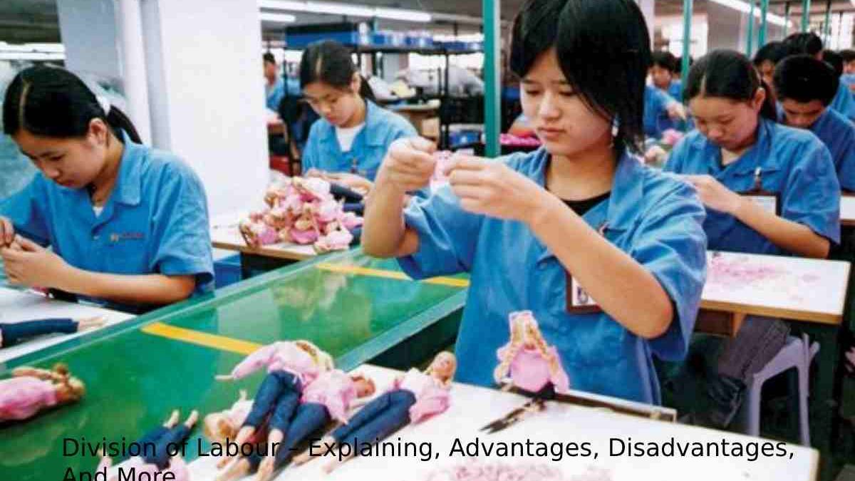 Division of Labor – Explaining, Advantages, Disadvantages, And More