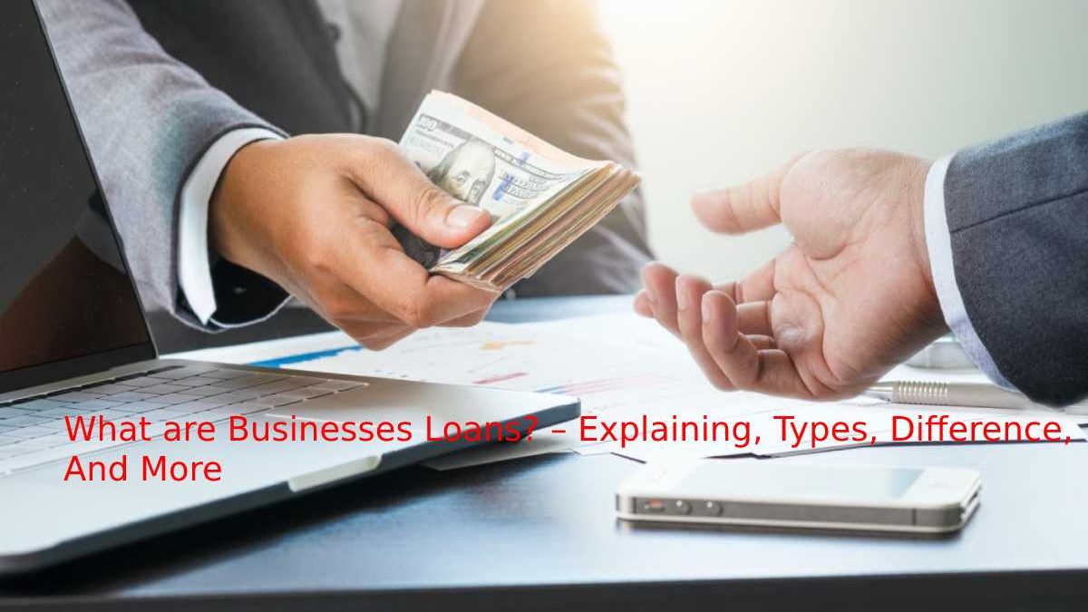 What are Businesses Loans? – Explaining, Types, Difference, And More