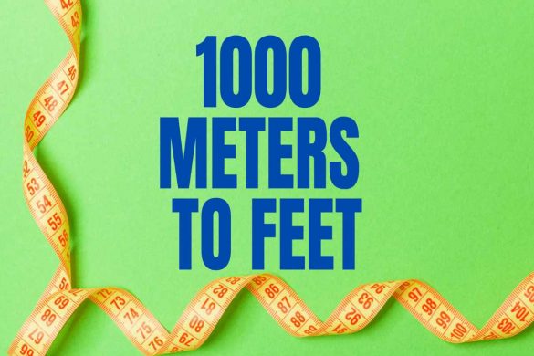 meters in feet