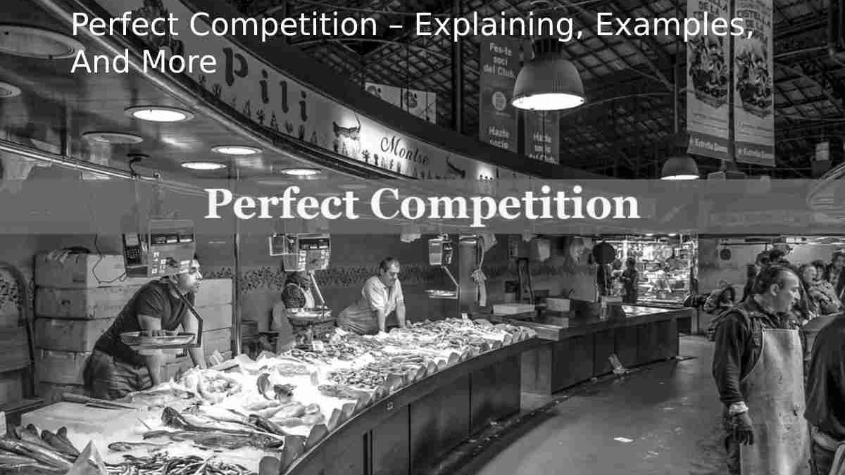 Perfect Market Competition – Explaining, Examples, And More