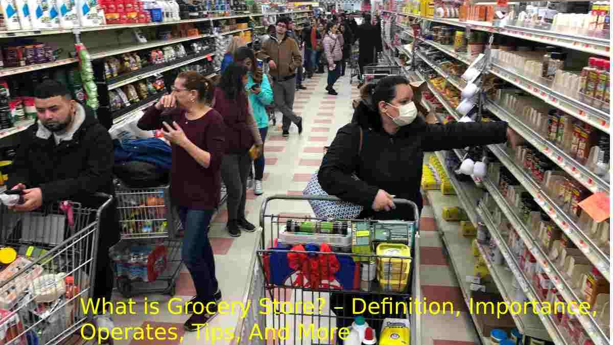 What is Grocery Store? – Definition, Importance, And More