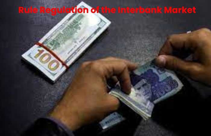 Rule Regulation of the Interbank Market