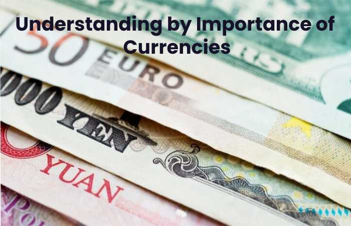 Understanding by Importance of  Currencies
