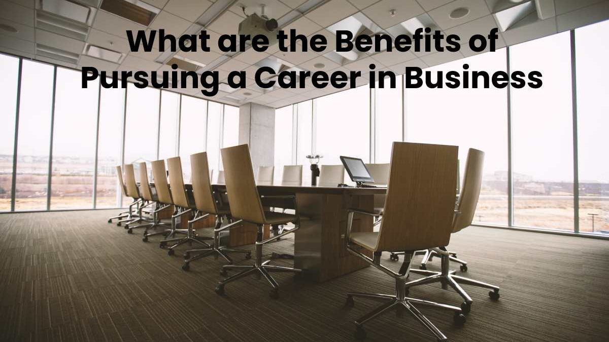 What are the Benefits of Pursuing a Career in Business
