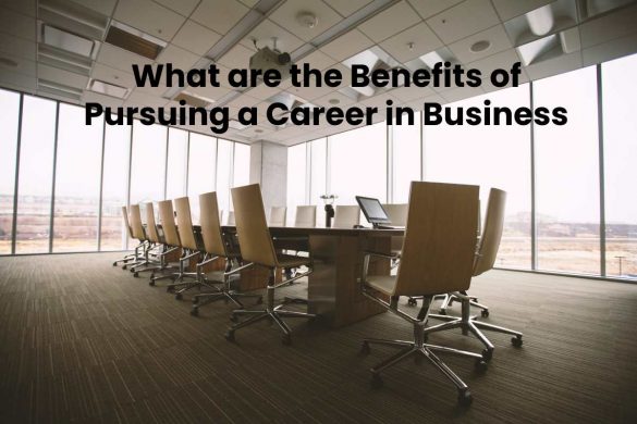 What are the Benefits of Pursuing a Career in Business