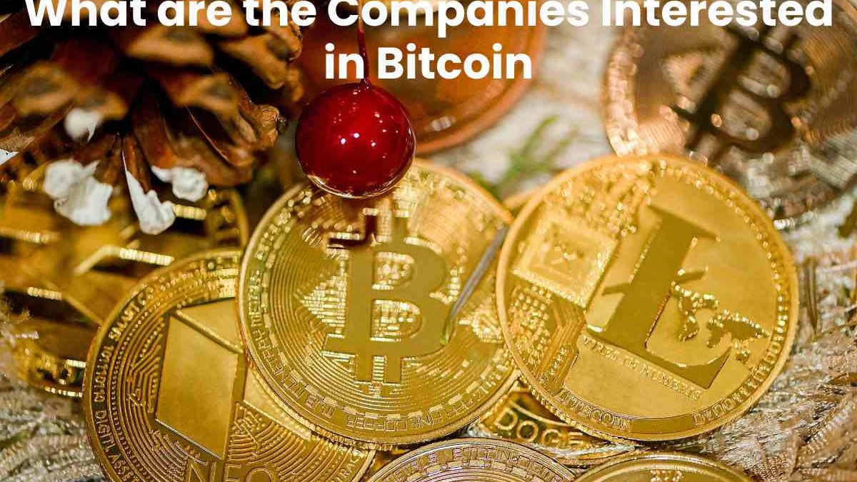 What are the Companies Interested in Bitcoin