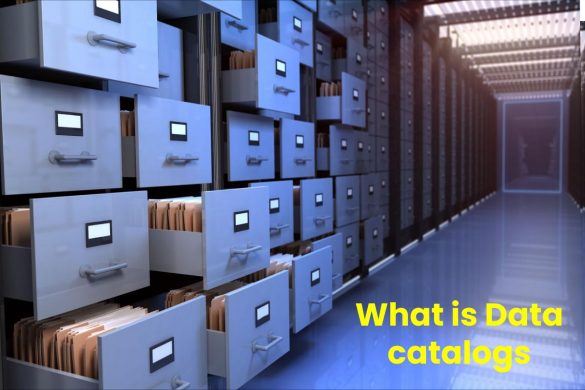 What is Data catalogs
