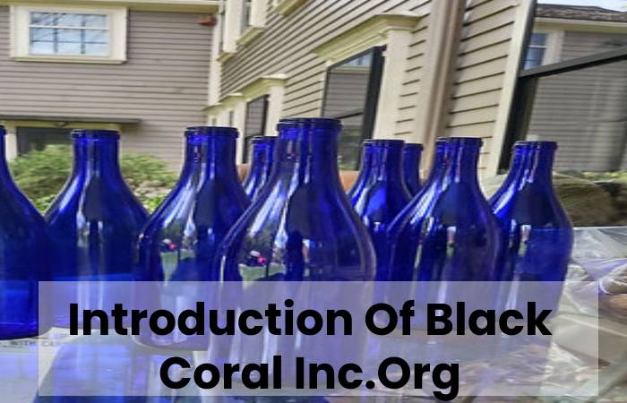 Introduction Of Black Coral Inc.Org