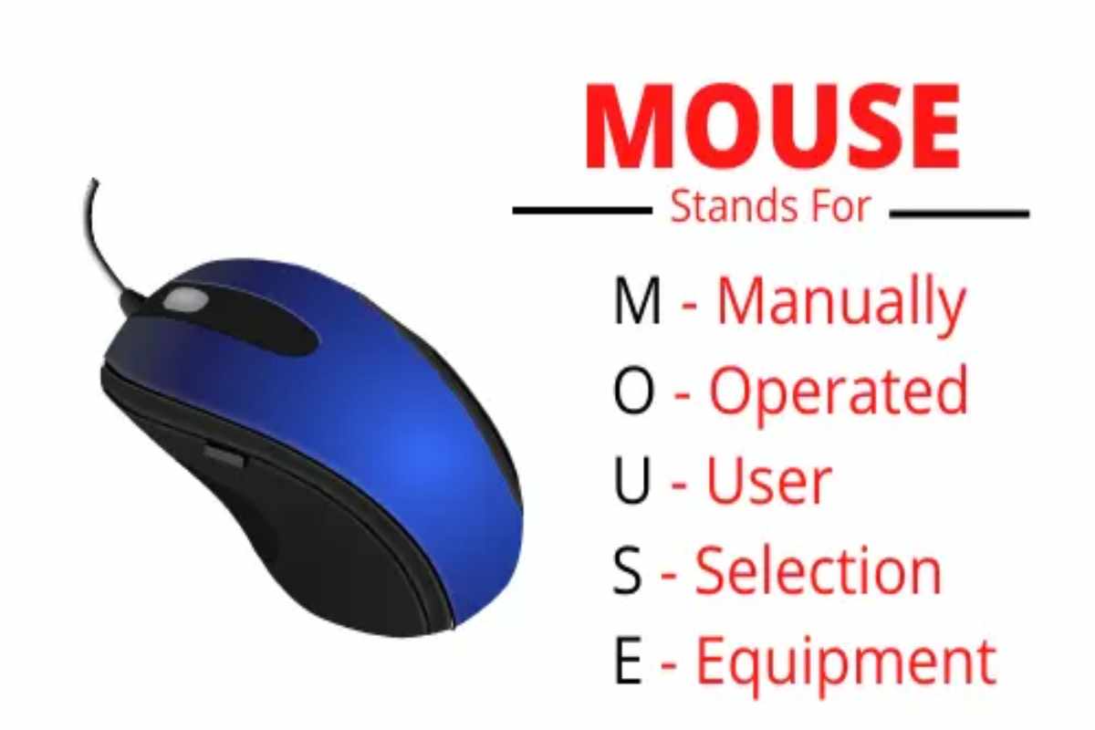 Mouse Write for Us