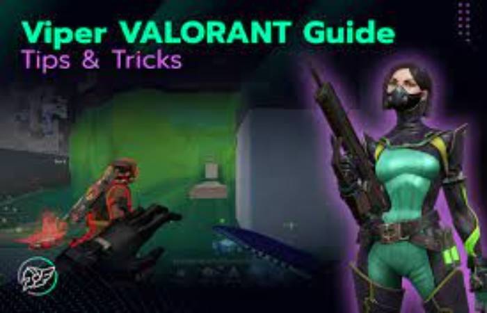 Here Are Some Guidelines For Playing Viper Net: