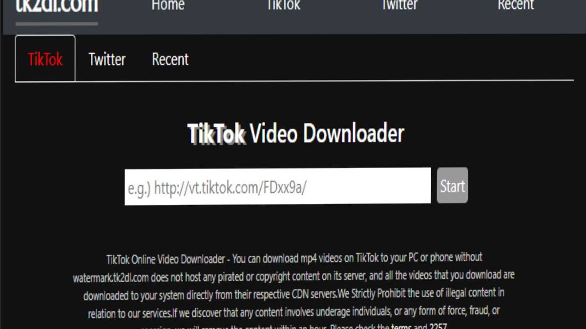 Tk2dl Tiktok Video Downloader