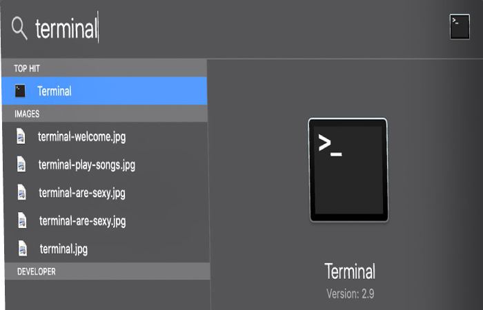 How Do I Clear DNS Cache In Chrome Net Internals DNS (1)