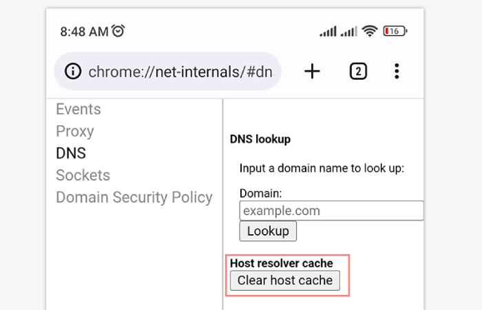 How Do I Clear DNS Cache In Chrome Net Internals DNS