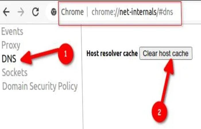 How Do I Clear DNS In Chrome Net Internals