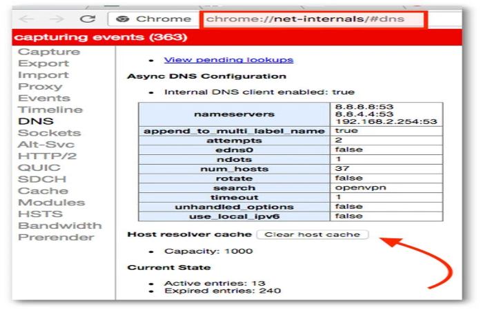 chrome __net-internals_#dns (1)