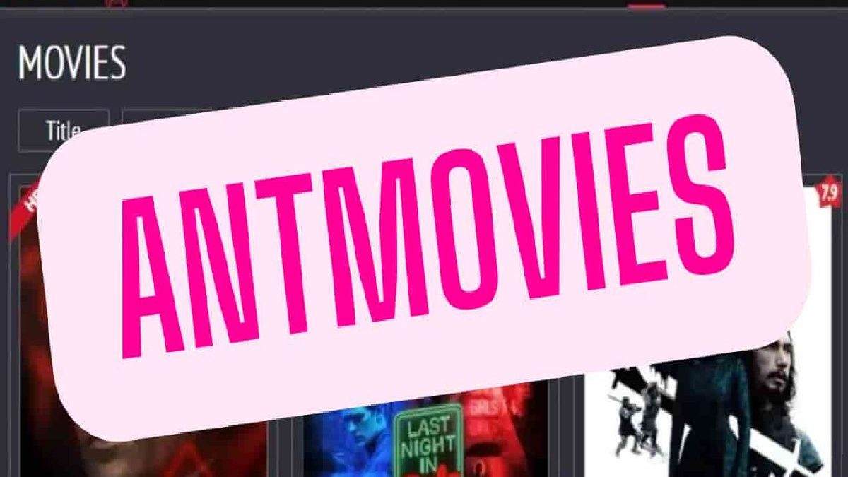 Antmovies – Choose the Perfect Movie Partner