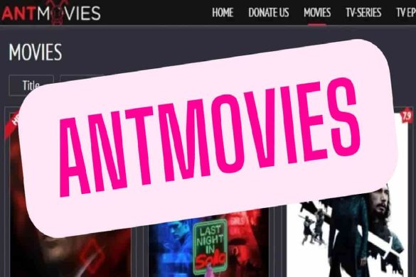 Antmovies - Choose the Perfect Movie Partner