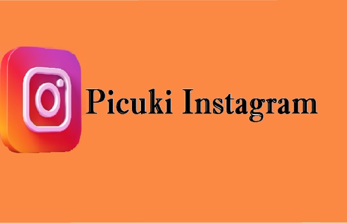 How to use Picuki to View Instagram Profiles and Posts