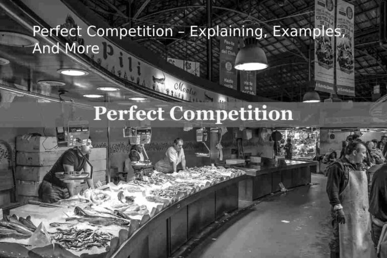 Perfect Market Competition