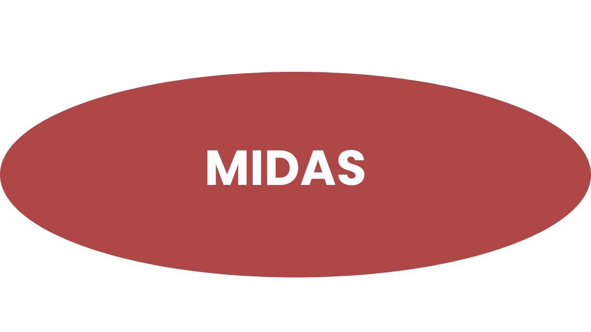Things you need to know about Midas
