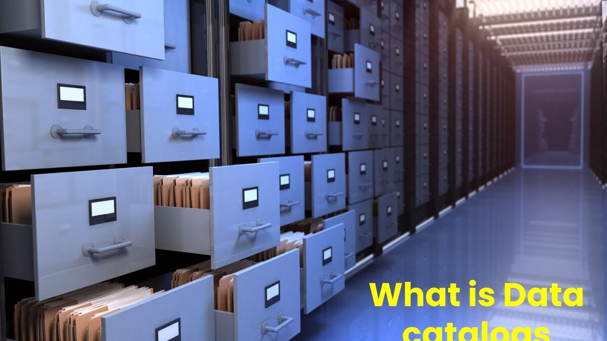What is Data catalogs