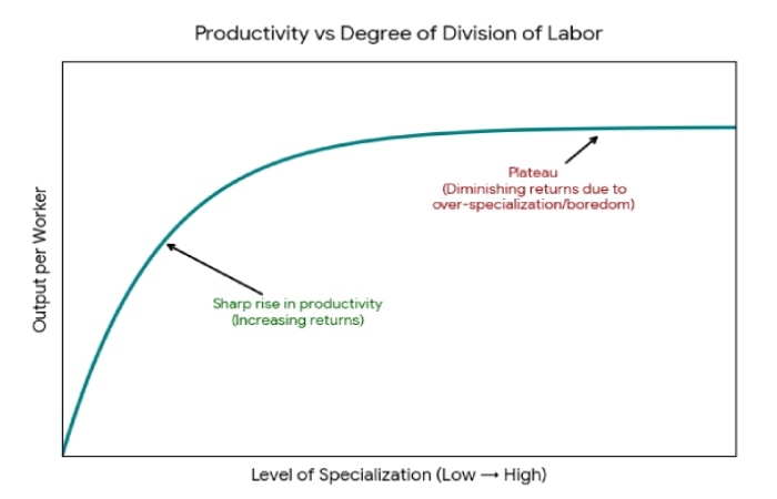 productivity vs degree of division of labor